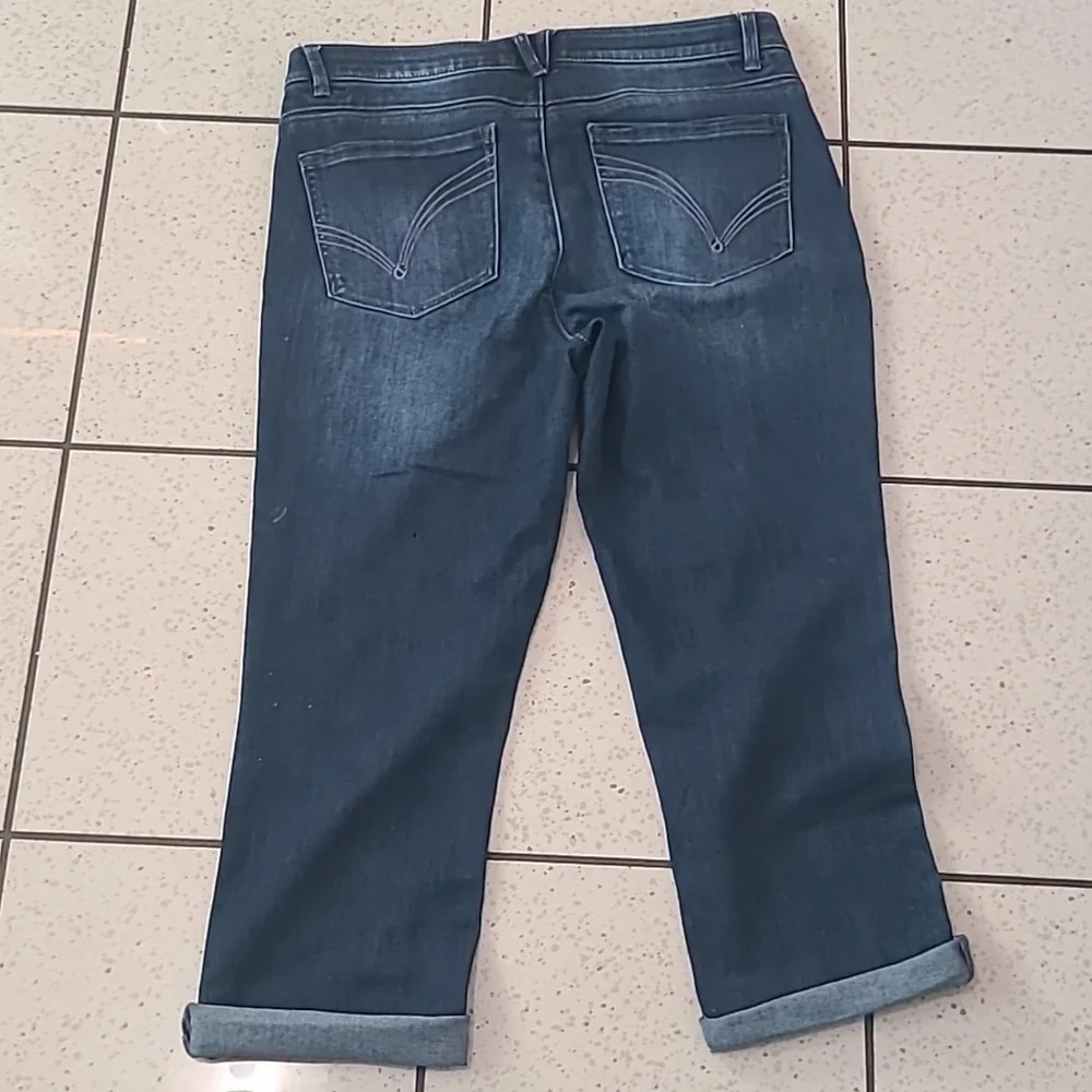 Democracy Indigo Cropped Jeans - Picture 2 of 3